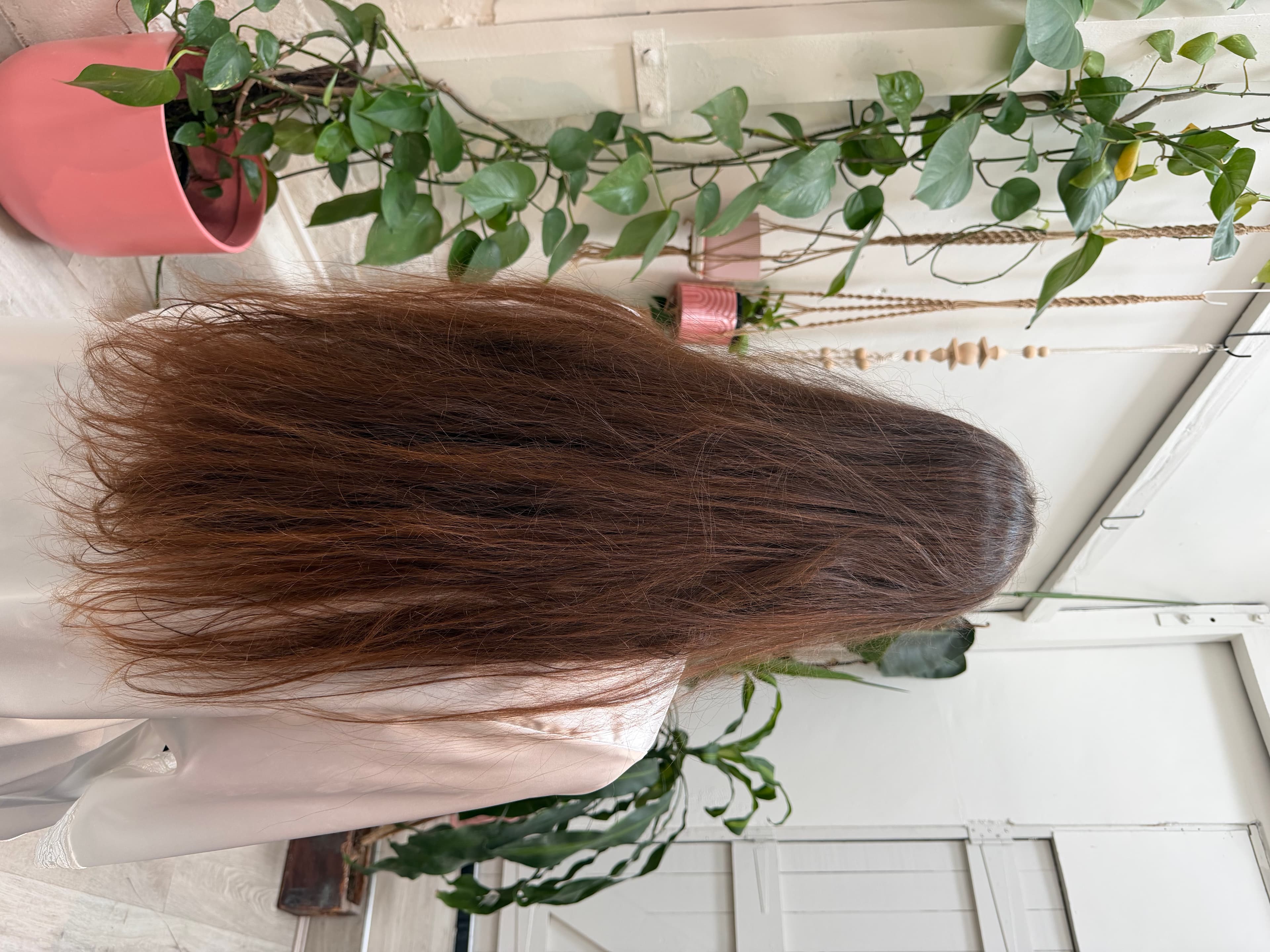 Before nanoplasty — frizzy hair